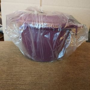 New Tupperware.  Microwave Rice Cooker.